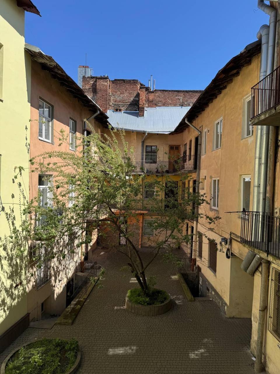 Elite Apart Near Svoboda Avenue Lviv Kültér fotó